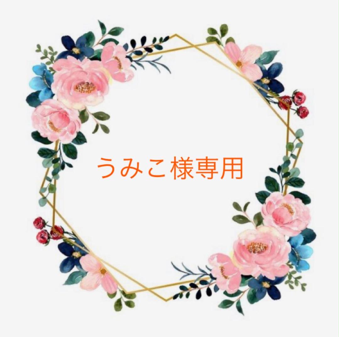 うみこ様専用