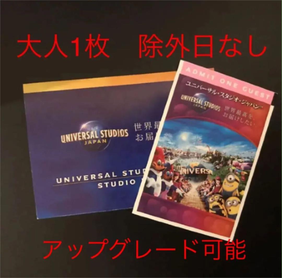 USJ⭐︎パートナーフレンドリーチケット⭐︎除外日なし