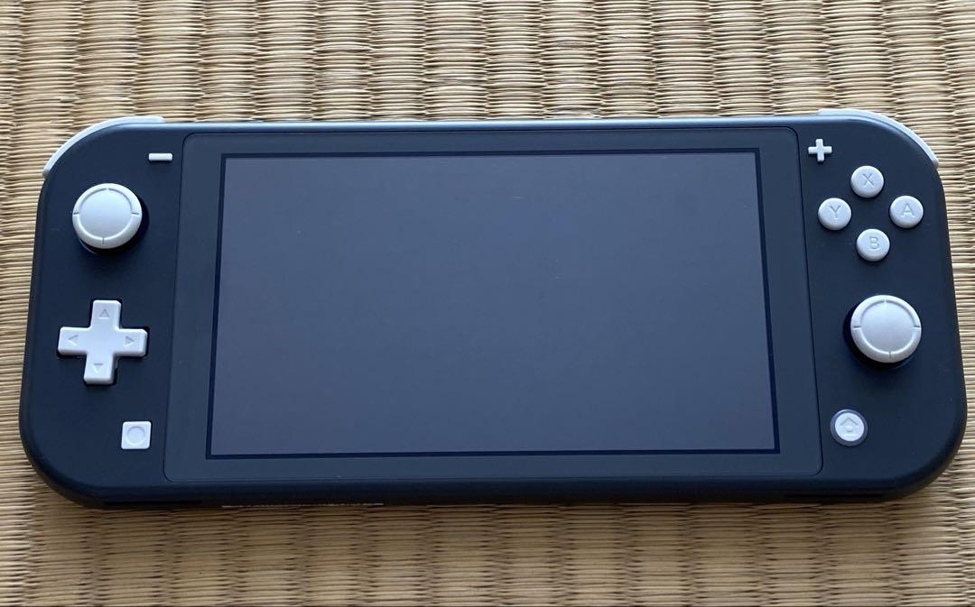 Nintendo Switch 取り外さ Lite グレー 充電器付き
