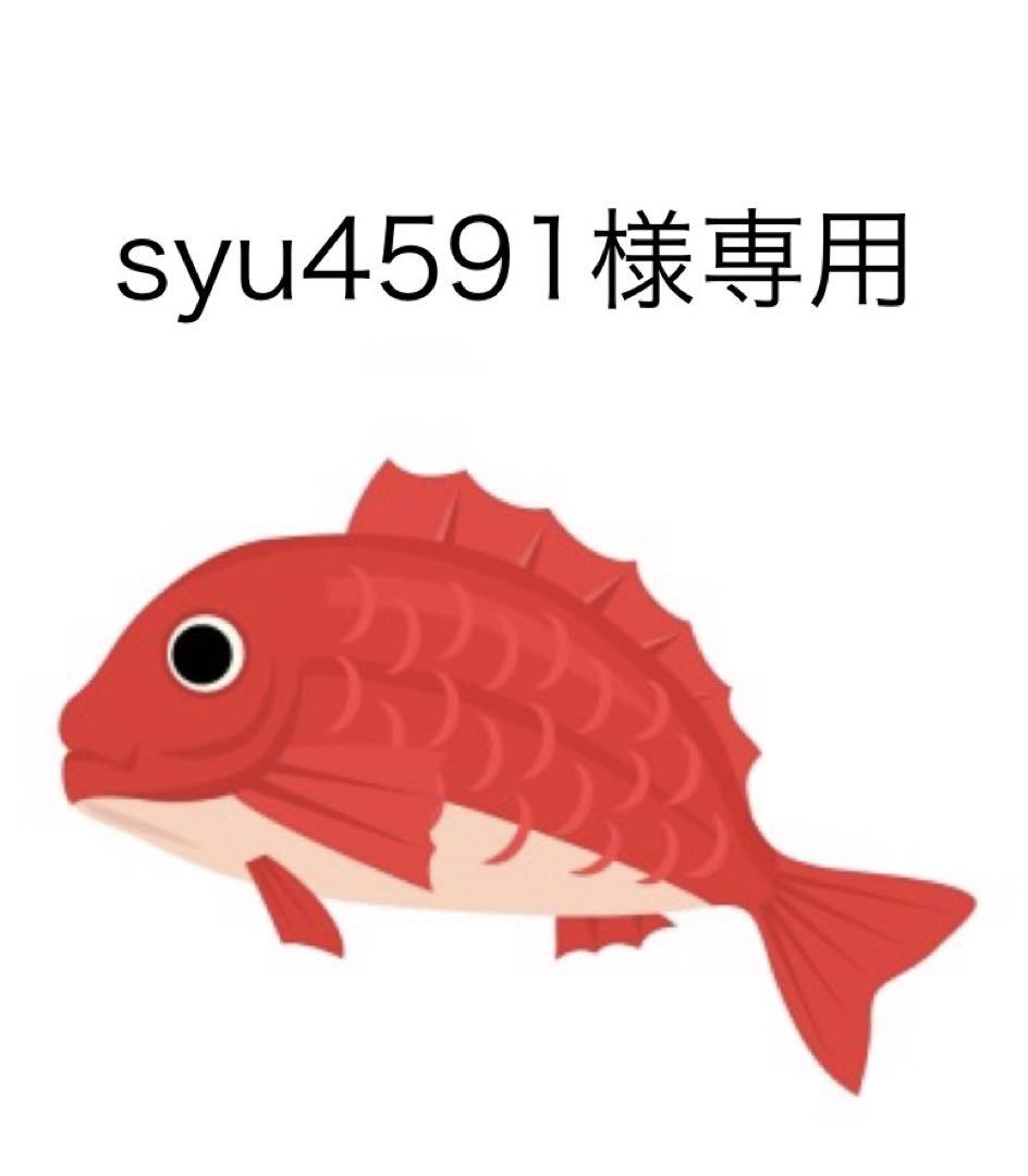 タイラバ タングステン syu4591様専用-