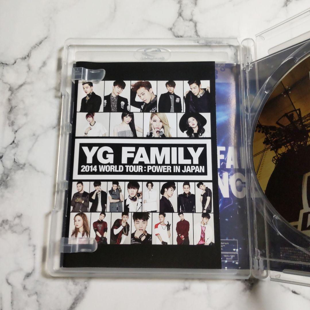 YG FAMILY 2014 WORLD TOUR:POWER IN JAPAN