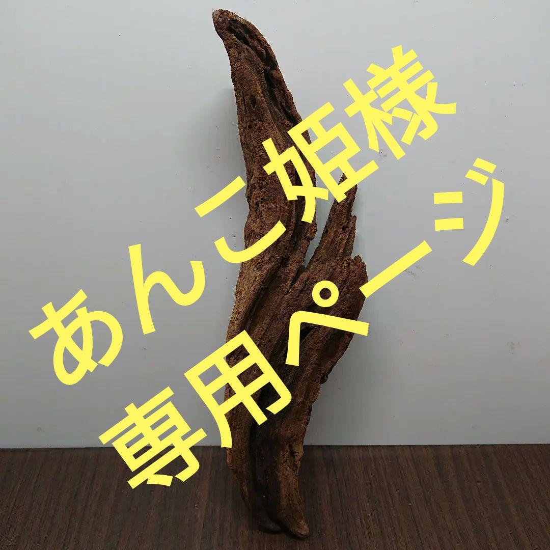 No 1931 33 1902 アク抜き済流木 Sds7pwefzd Www Bacteries Et Aliments Fr