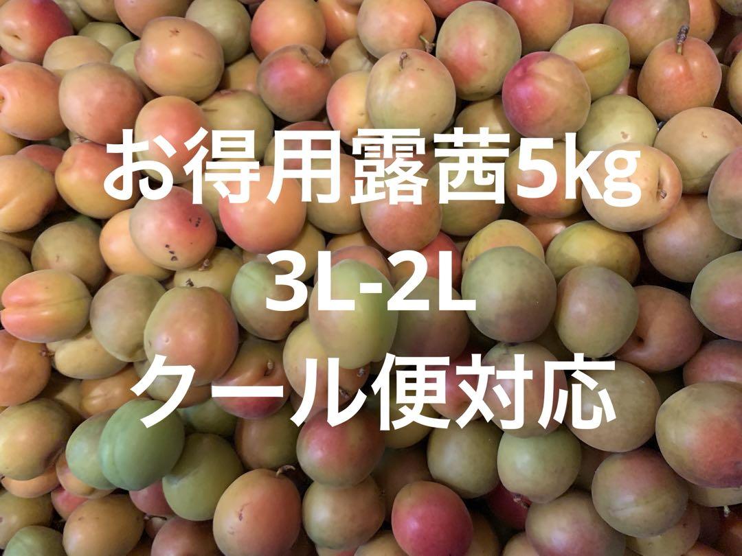 クール便対応 和歌山県紀南産 お得用露茜5㎏ 3L-2L - メルカリ