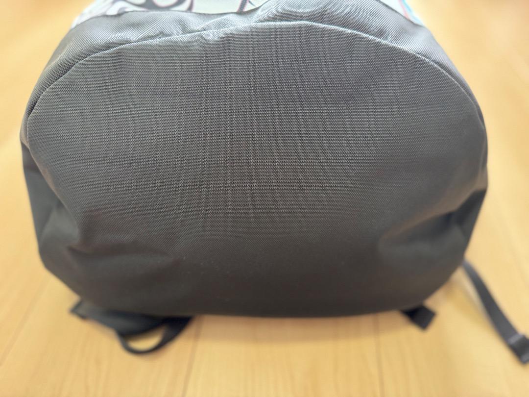 バッグ Supreme TheNorthFace SteepTech Backpack