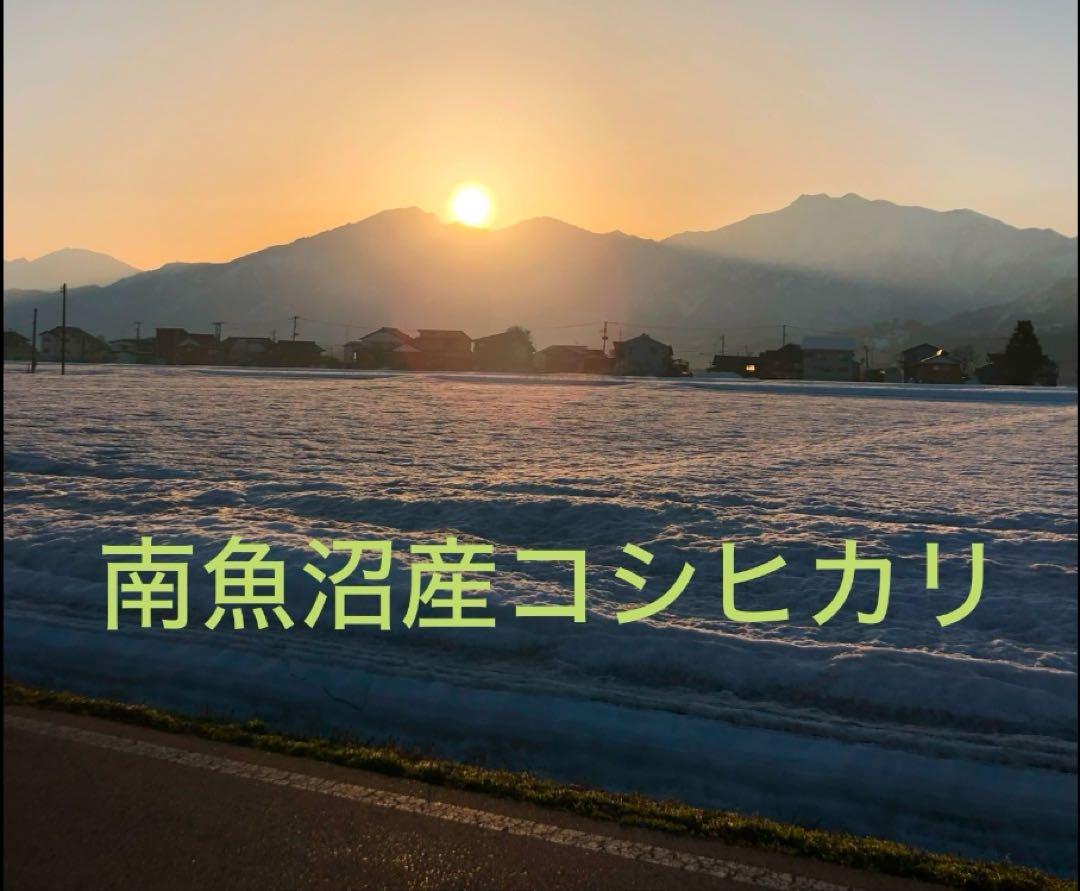 南魚沼産コシヒカリ１０キロ