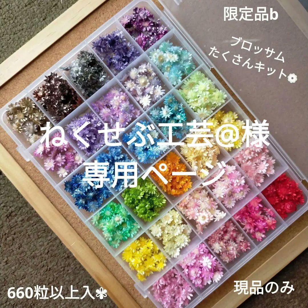 限定品b ハーバリウムボールペン レジン アクセサリー 花材セット 気まぐれ素材