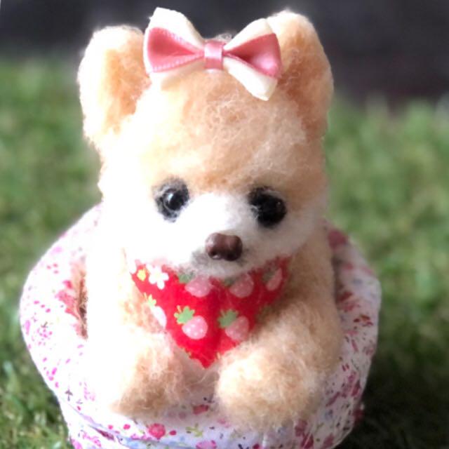 全品送料無料 羊毛フェルト 犬 カゴの中の ポメちゃん 在庫限り 完売次第終了ぽっきりsale Afaqalmanzil Com 全品送料無料 羊毛フェルト 犬 カゴの中の ポメちゃん 在庫限り 完売次第終了ぽっきりsale Afaqalmanzil Com