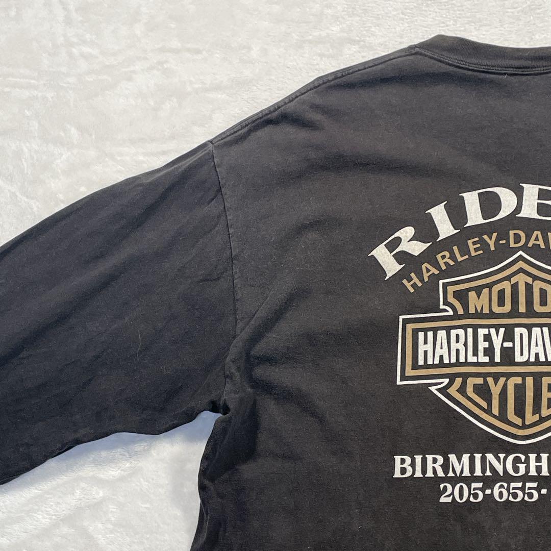 HARLEY-DAVIDSON 105周年　フレイム　ウィング　長袖Tシャツ　黒