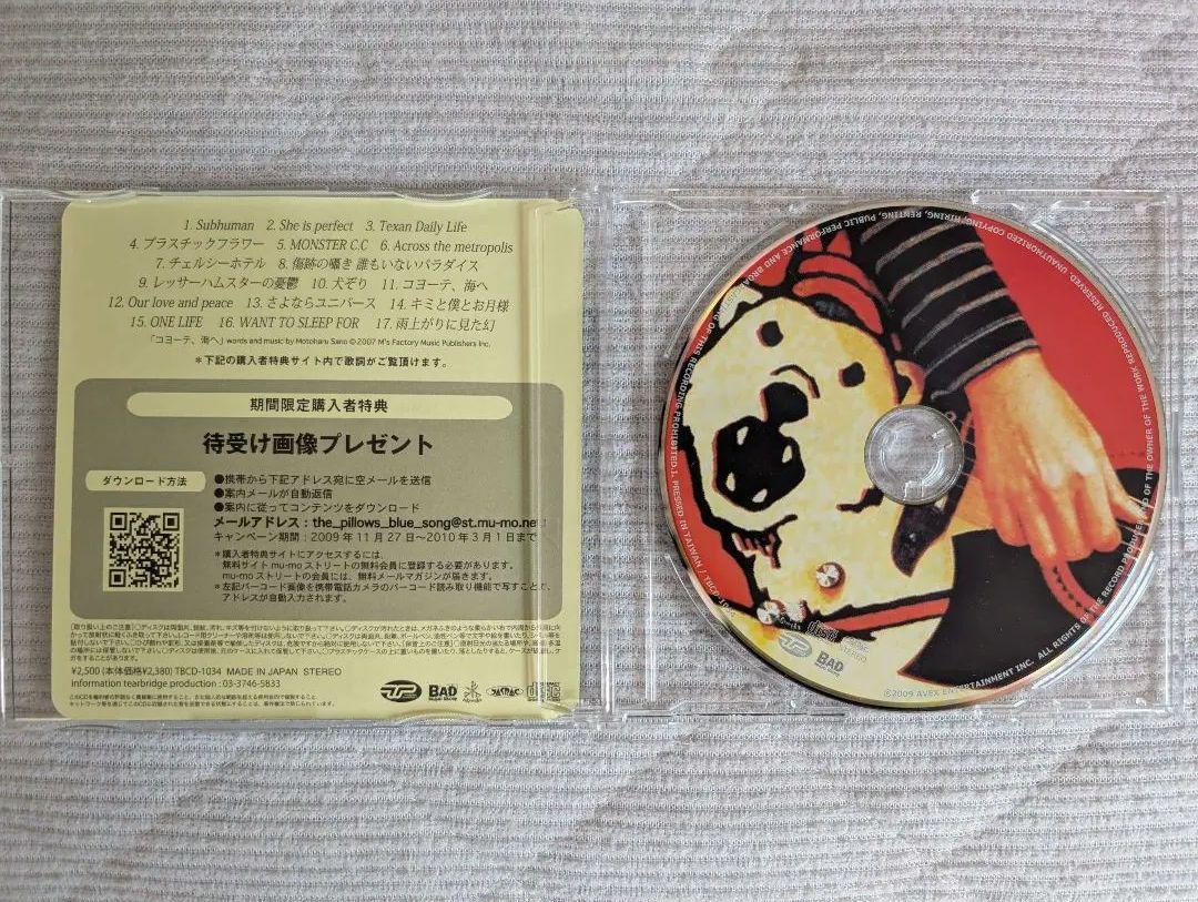 4*兎様 Blue song with Blue poppies CD