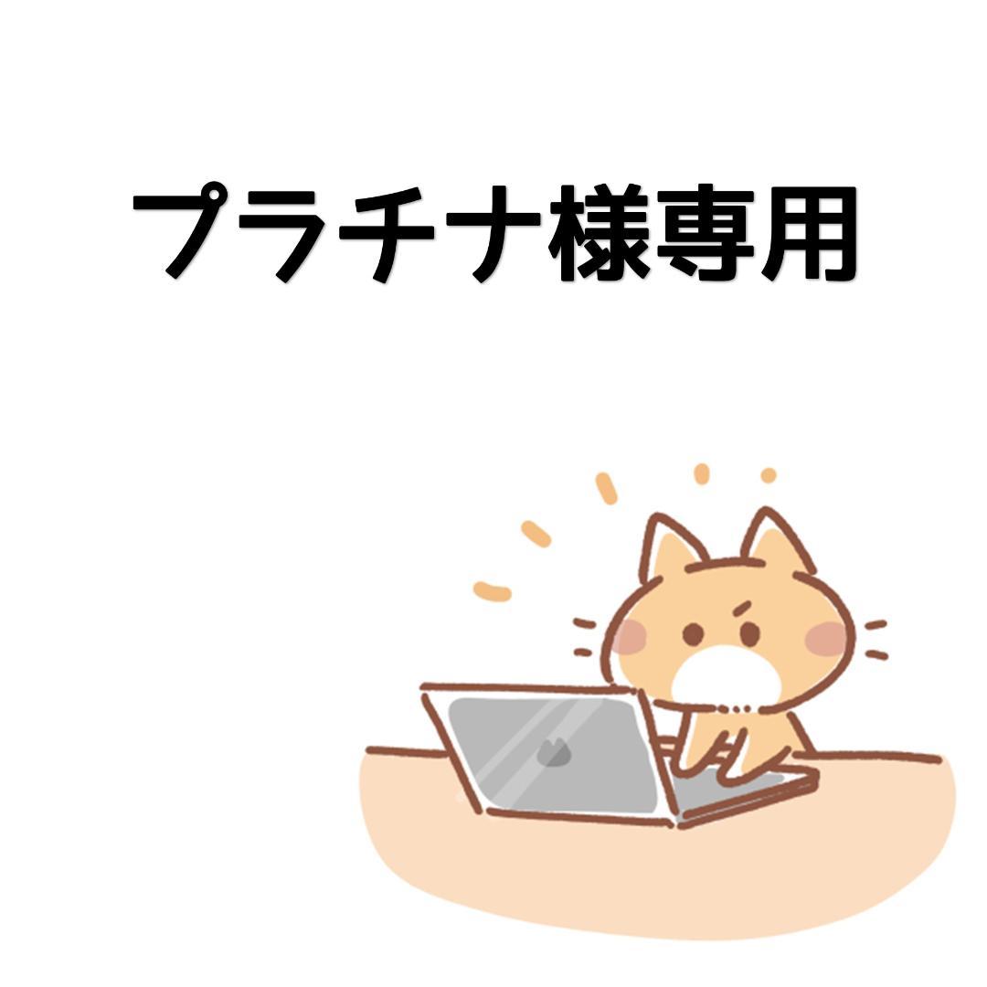 男性に人気！ プラチナ様専用 ノートPC - jet-action.de