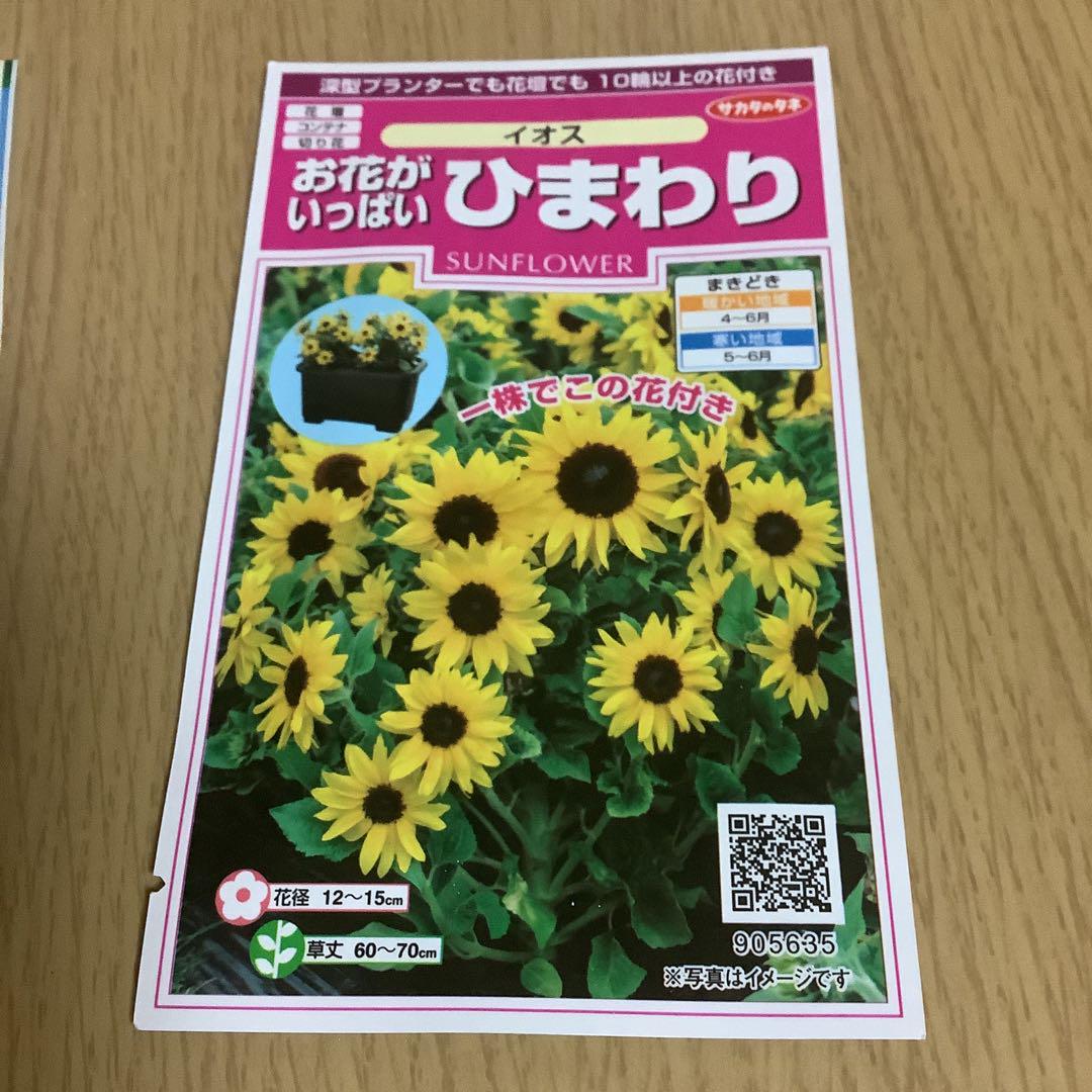 ひまわりの種 大輪・ミニひまわりセット - メルカリ
