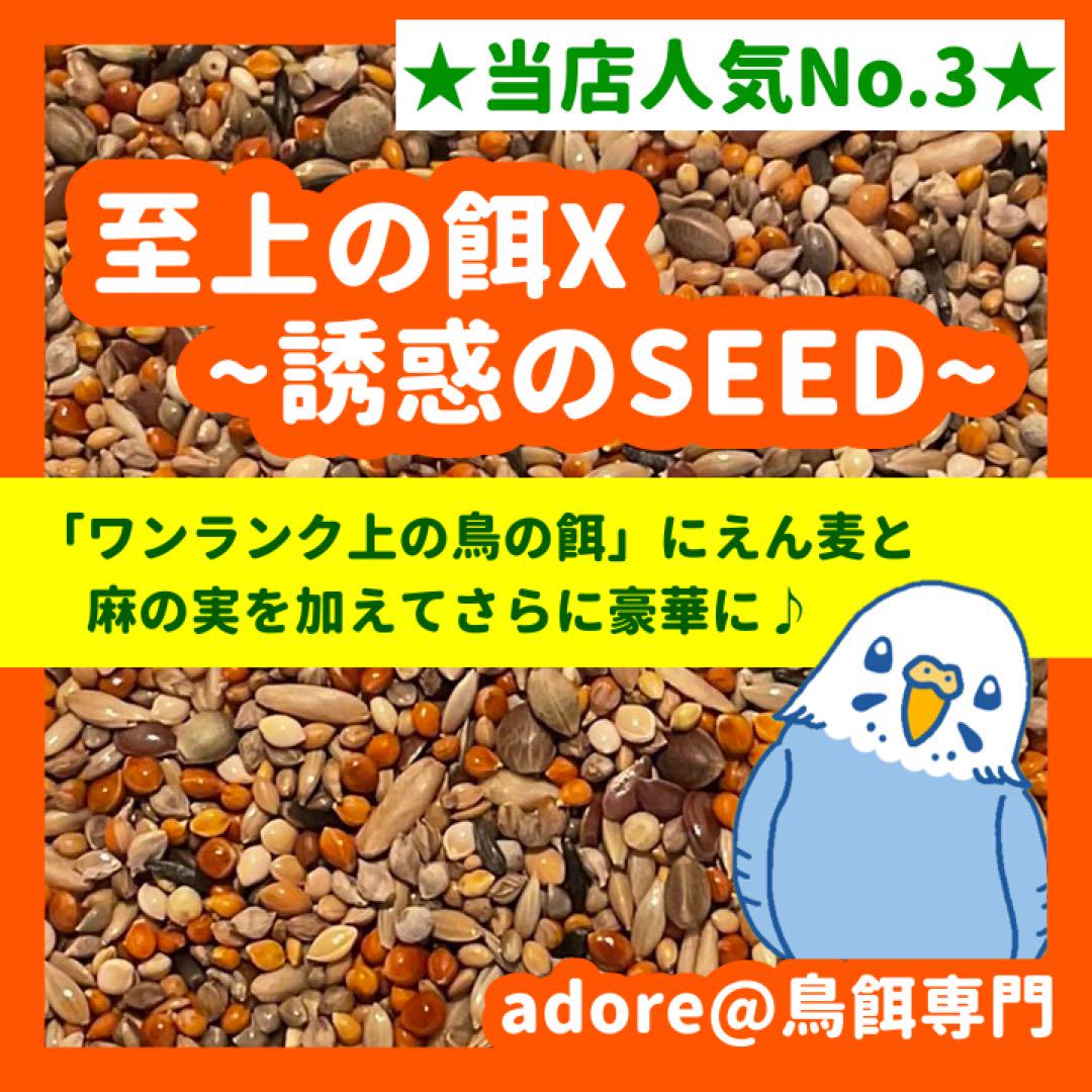 うめりんご様専用】鳥の餌セット うめりんご】鳥の餌セット うめ