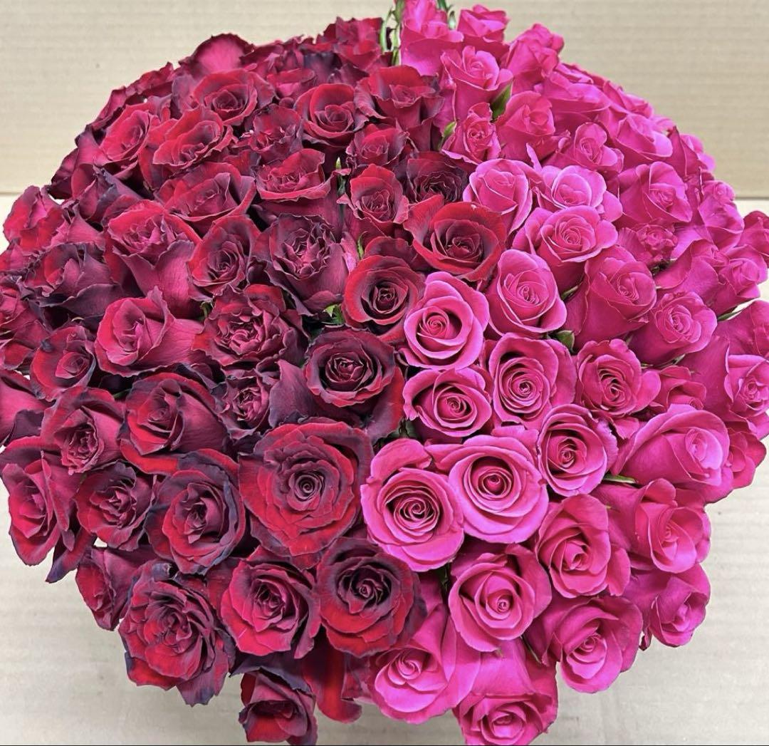 薔薇生花 超お得品‼️25cm100本‼️