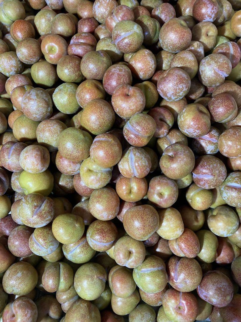 値下げ中⭐️すもも 鹿児島産 無農薬5キロ お値下げ中！！すもも 5キロ鹿児島産 無農薬 - メルカリ