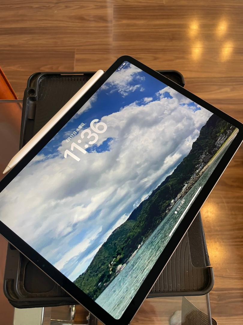 iPadPro(第2世代) 11インチ 128GB cellular＋Wi-Fi