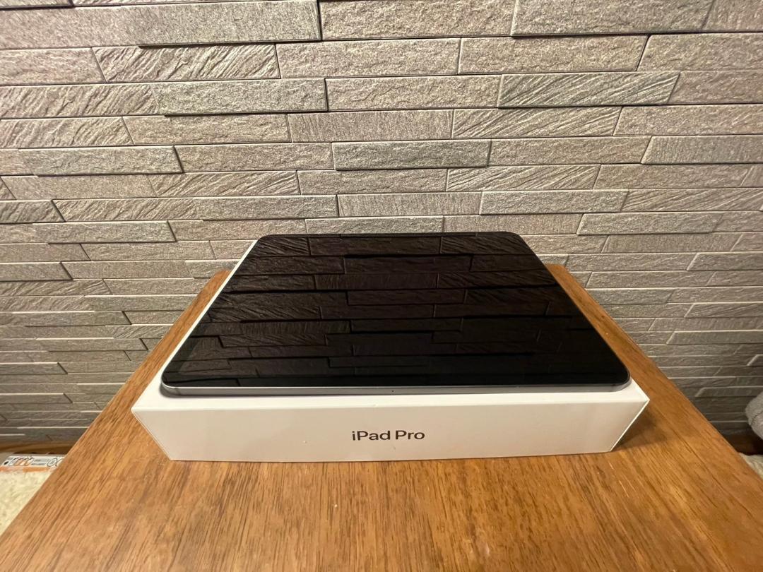 iPadPro(第2世代) 11インチ 128GB cellular＋Wi-Fi