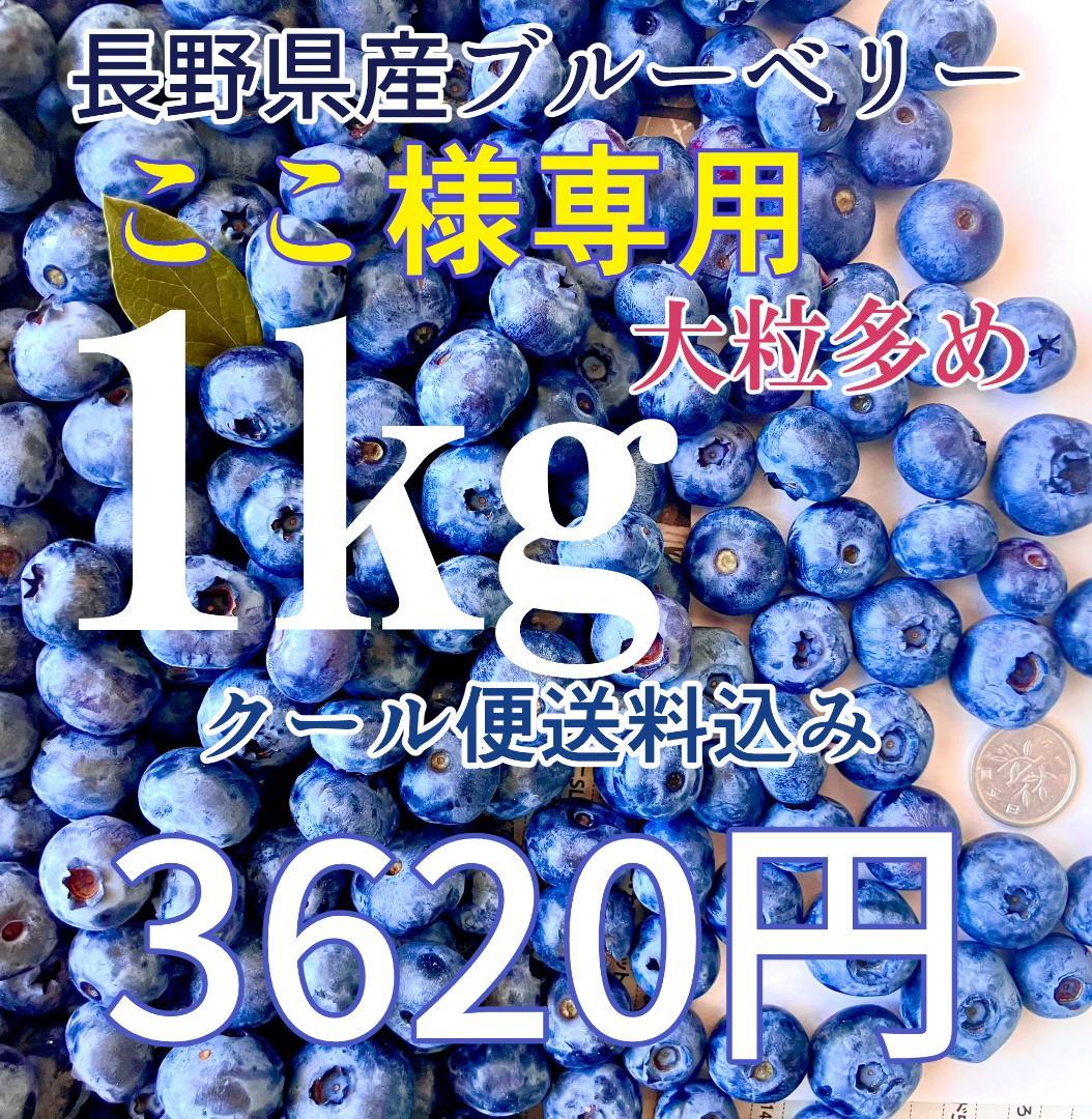 長野県産ブルーベリー(大粒多め) お問い合わせ用 ここ様専用長野県産ブルーベリー 1kg 大粒多め - メルカリ