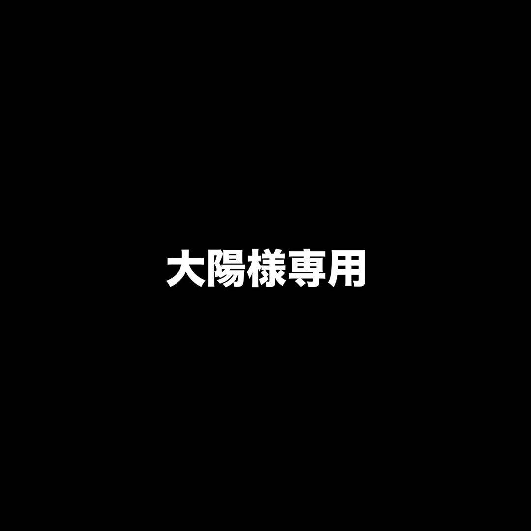 大陽 アクセサリー