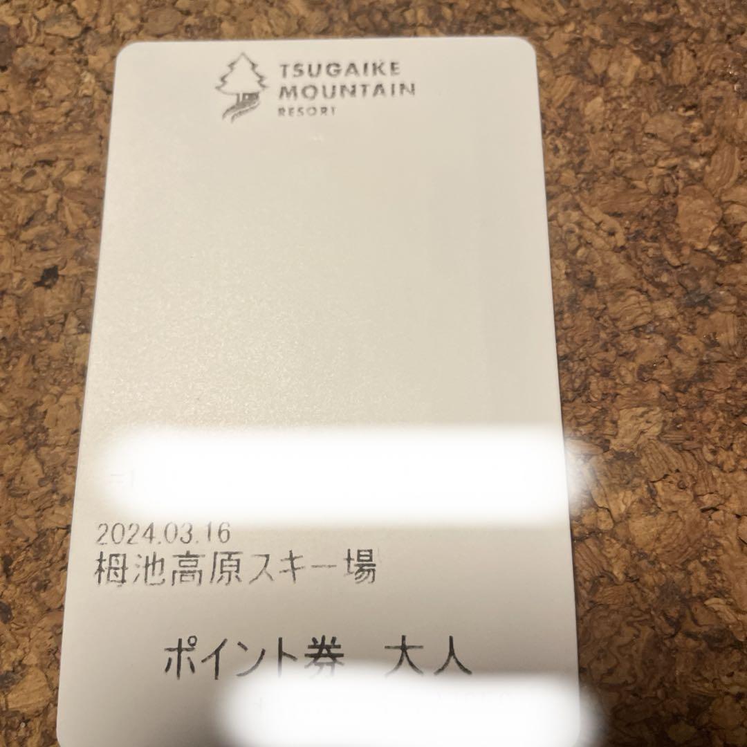 栂池高原スキー場 リフト券 ポイント券 - メルカリ