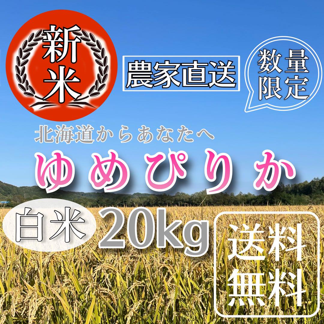 【R6年産新米】【数量限定】ゆめぴりか20kg白米