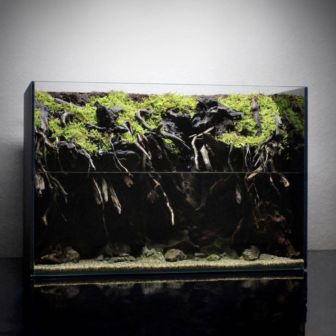 Yutchi　テラリウム　完成品　145　アクアテラリウム　イモリウム