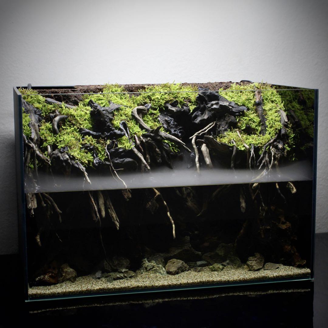 Yutchi　テラリウム　完成品　145　アクアテラリウム　イモリウム