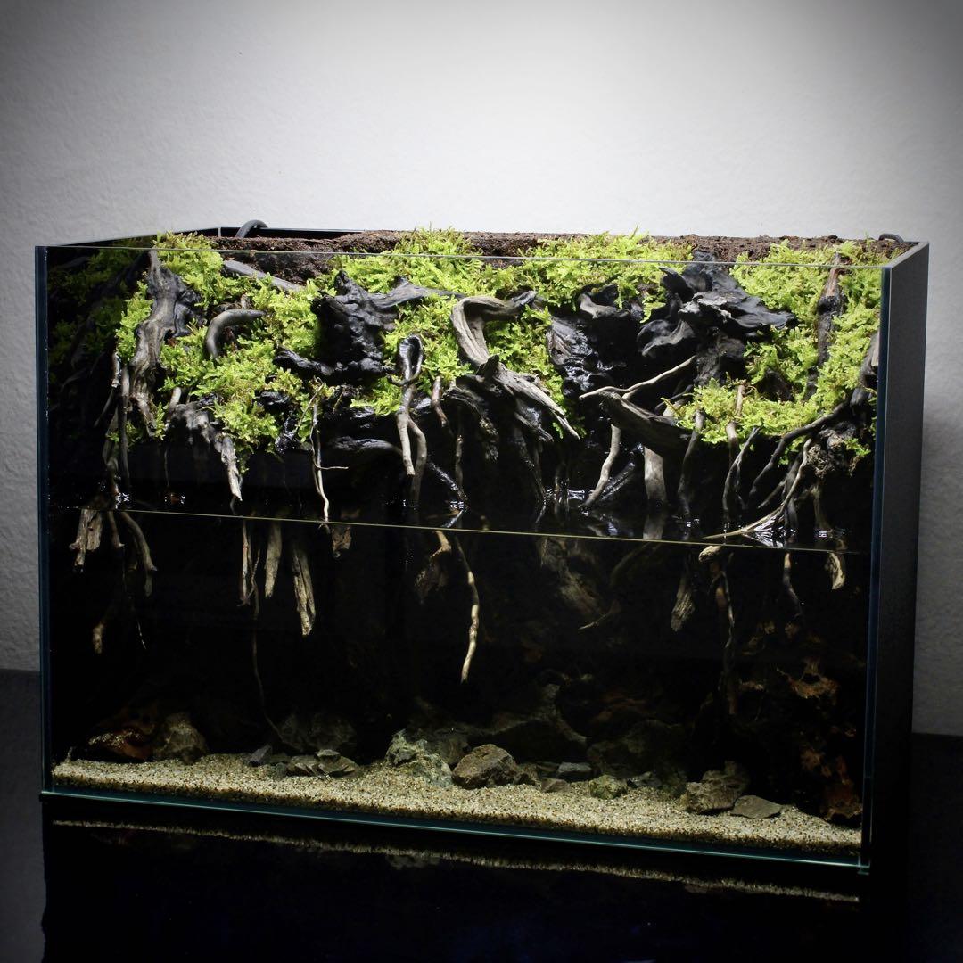 Yutchi　テラリウム　完成品　145　アクアテラリウム　イモリウム