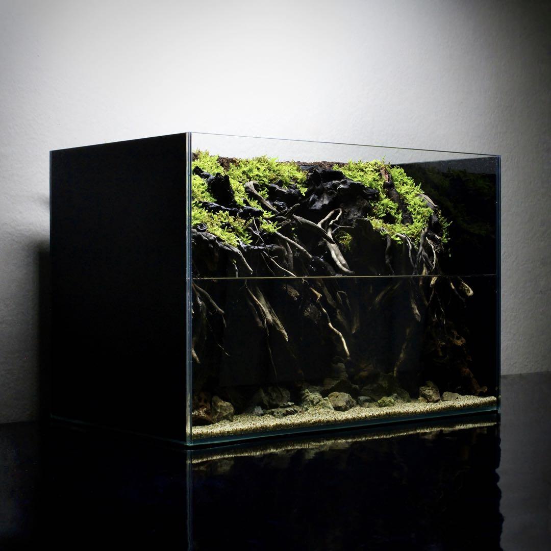 Yutchi　テラリウム　完成品　145　アクアテラリウム　イモリウム