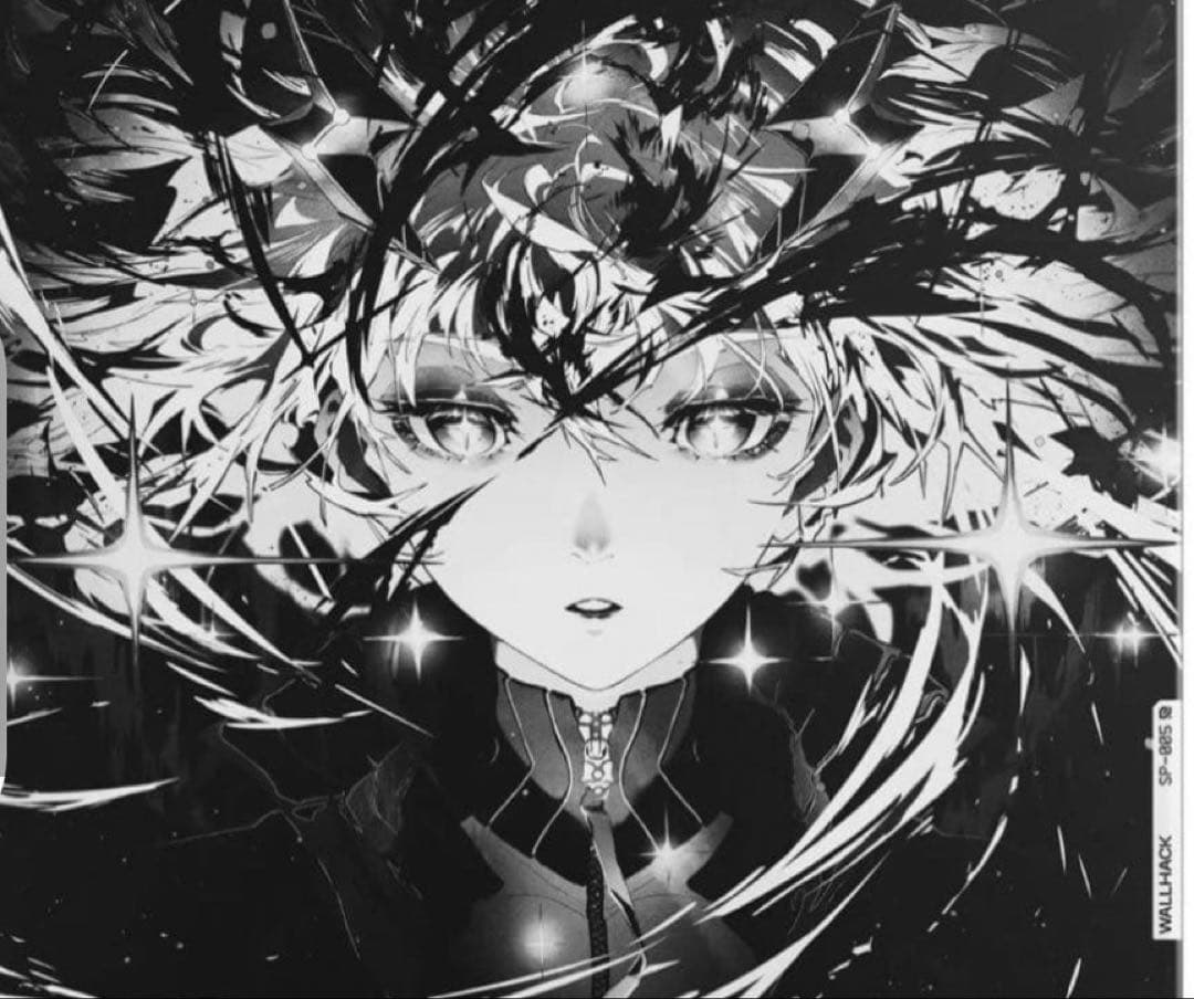 WALLHACK SP-005目立った傷や汚れなし