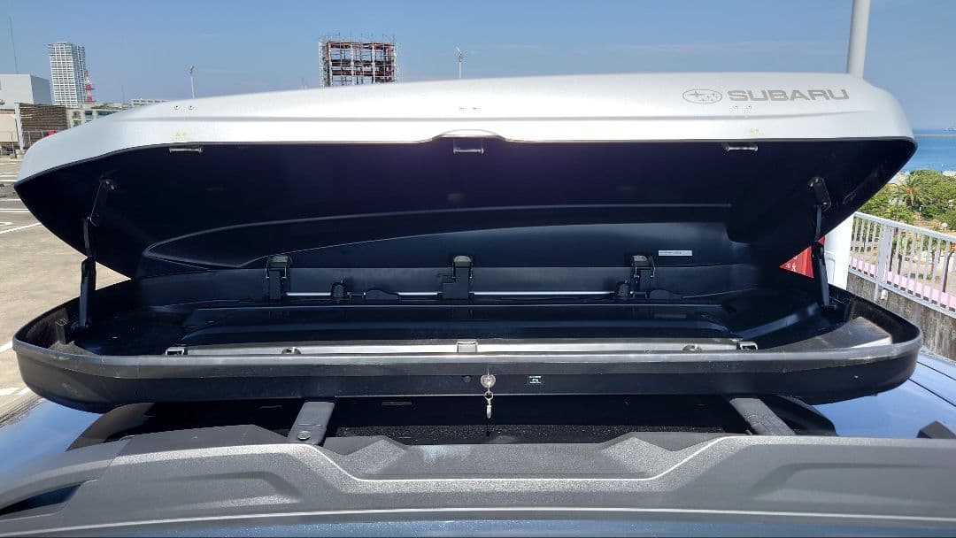 左右両開きやや傷や汚れあり