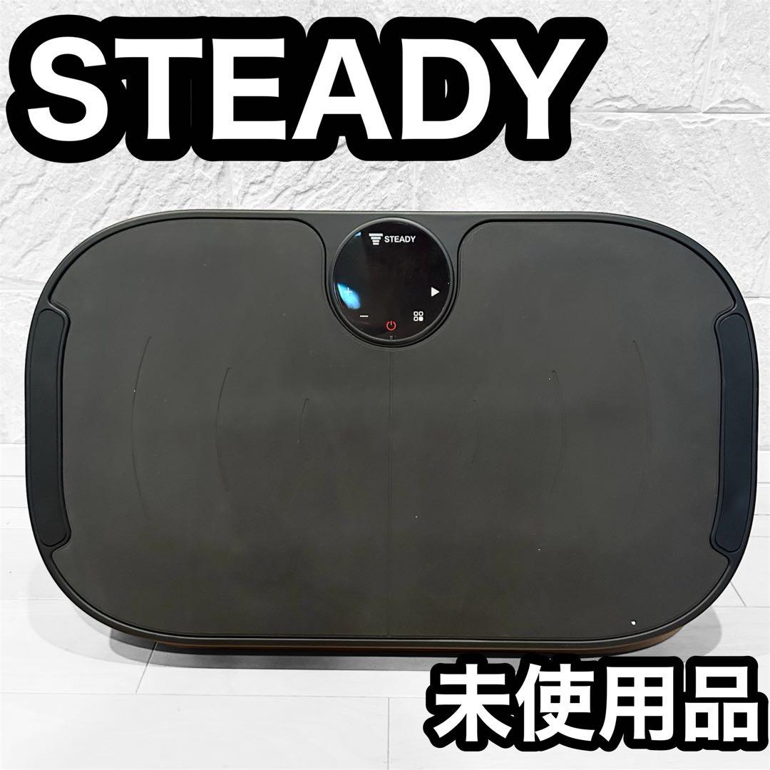 【未使用品】 STEADY 振動マシン ST147 99段階の振動レベル/静音/