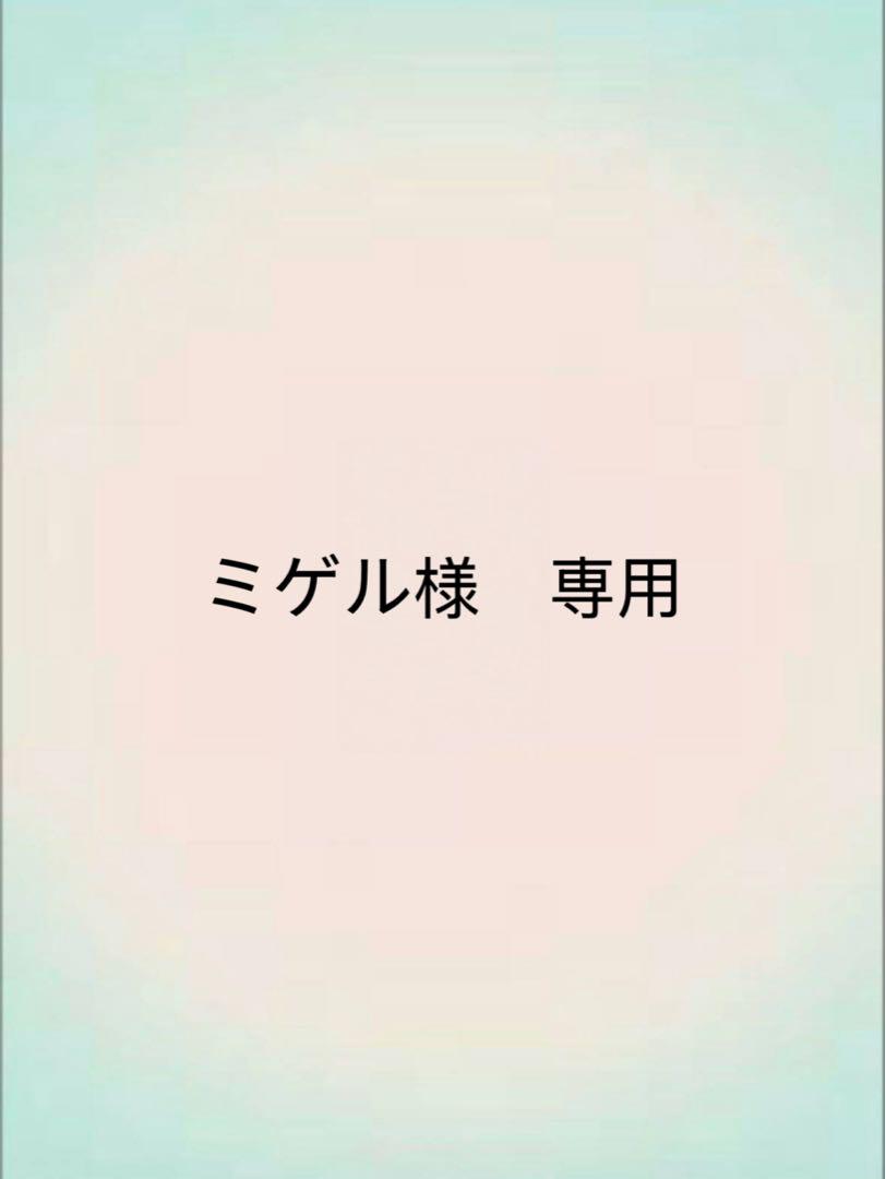 ミゲル　ペイン