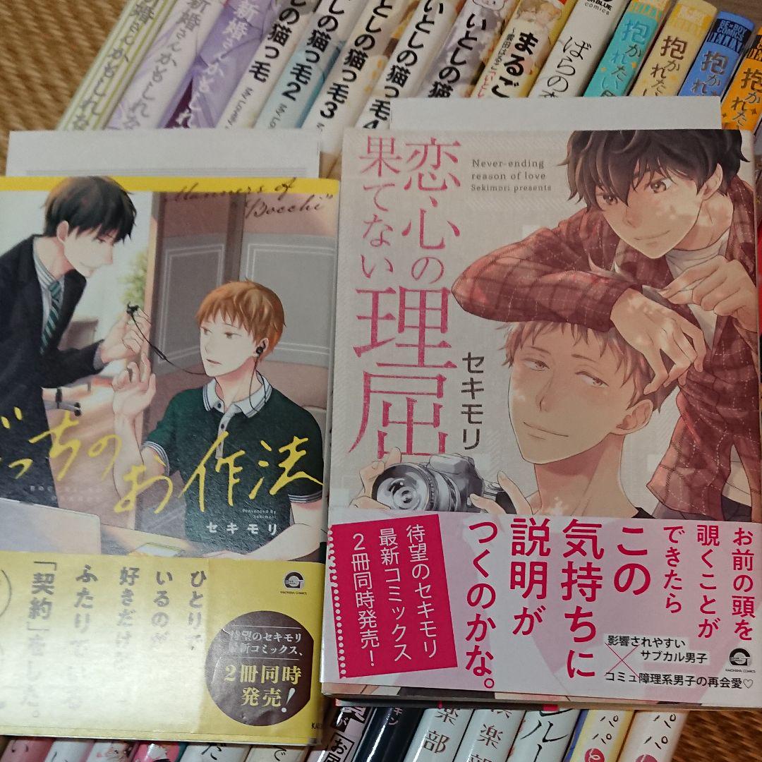 匿名配送 BLコミックなど本37冊セットまとめ売り 2021超人気 匿名配送 BLコミックなど本37冊セットまとめ売り 2021超人気