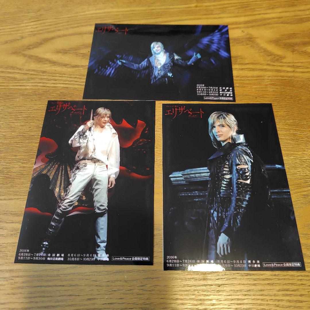 2016 ミュージカル エリザベート White version DVD