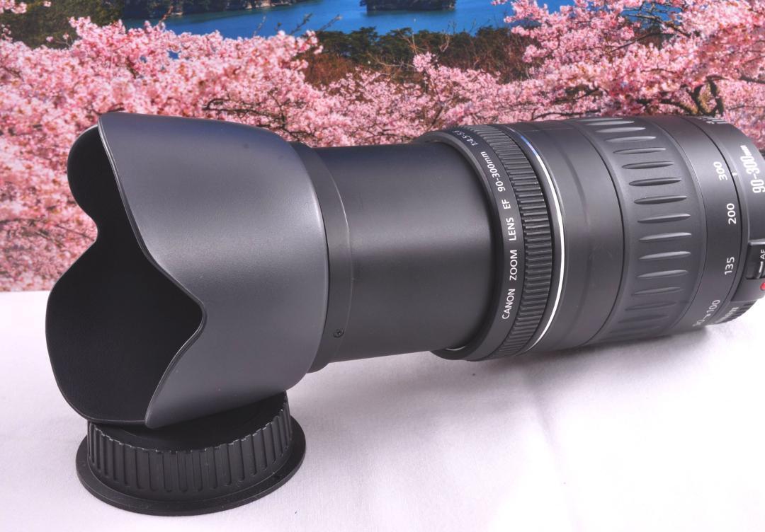 ★Canon キヤノン 望遠レンズ EF90-300mm 一枚の写真から！#5 EF90-300mm F4.5-5.6 USM - キヤノンカメラミュージアム