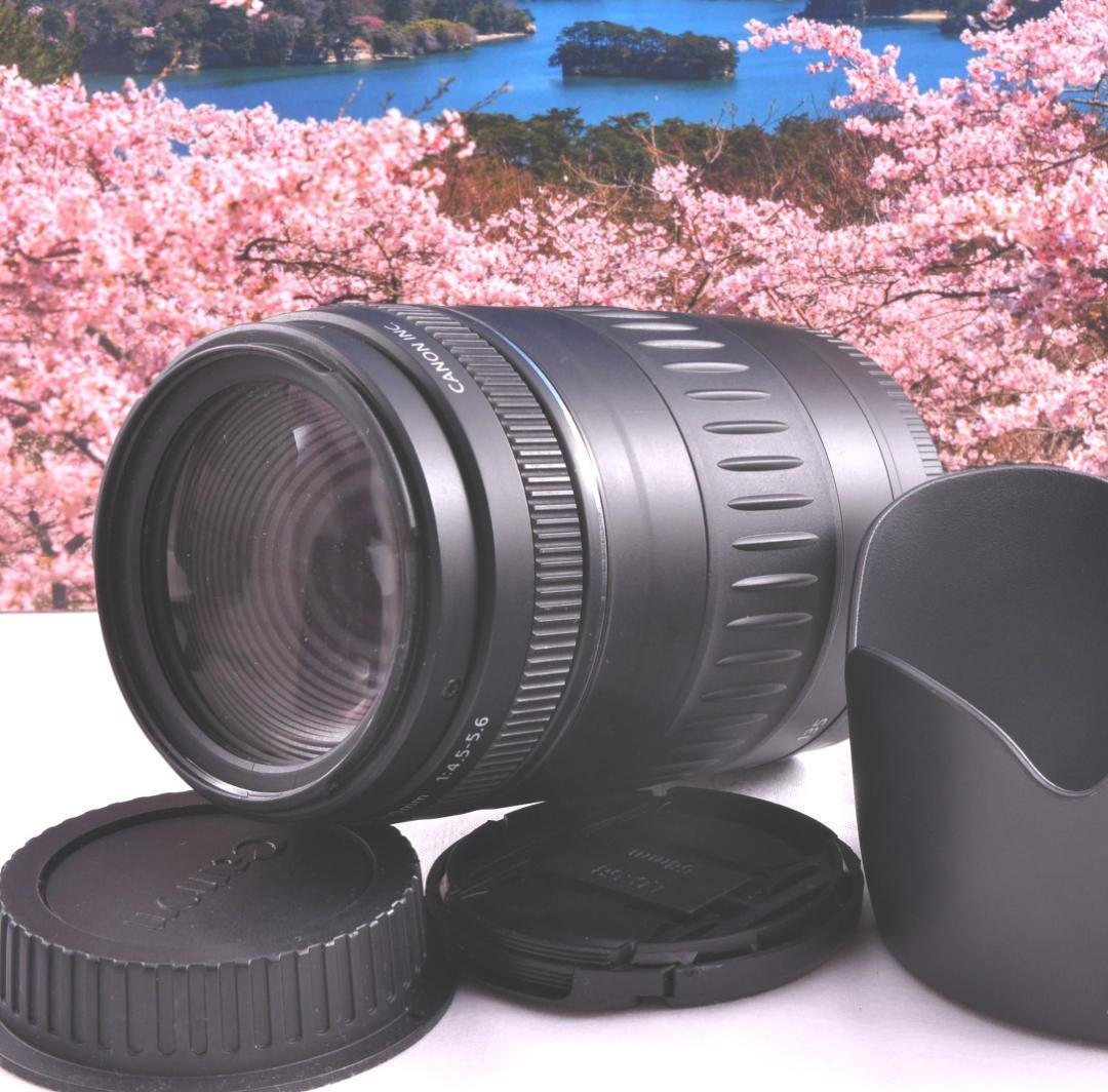 ☆Canon キヤノン 望遠レンズ EF90-300mm 一枚の写真から！#9
