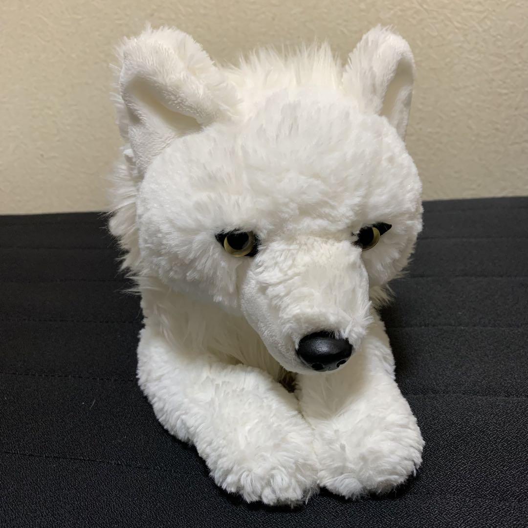 ‼️レア‼️ ひざおおかみ 　ホッキョクオオカミ　那須どうぶつ王国　サンレモン