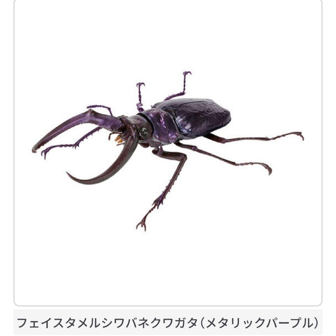 洋書　シワバネクワガタ亜科のモノグラフ taita-chi01.jpg