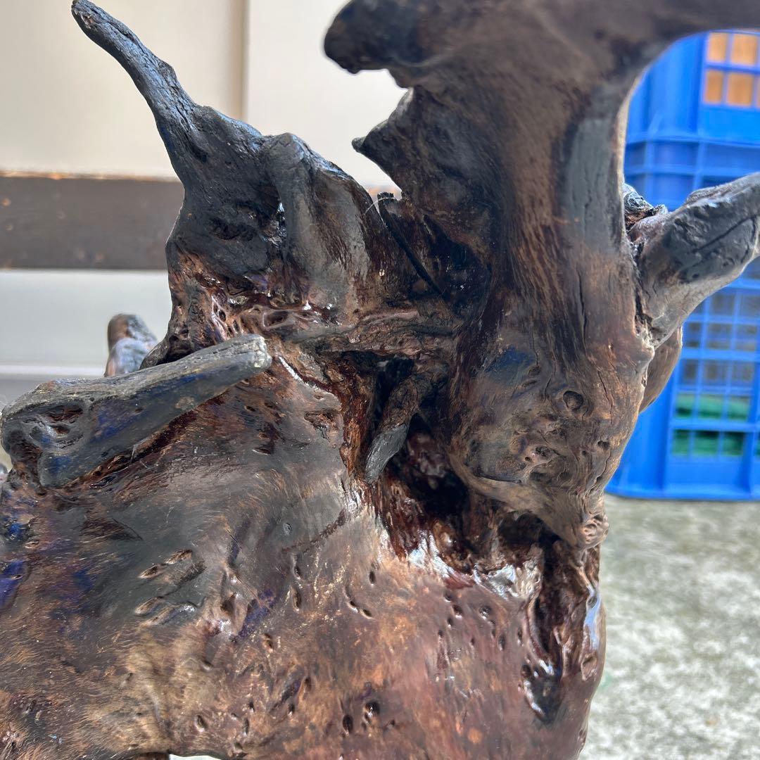 天然木 流木 オブジェ 置物 根卓 盆栽卓 インテリアやや傷や汚れあり NEXPOTALLINN_EU