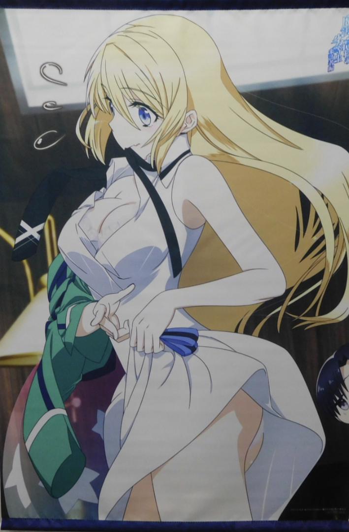 魔法科高校の劣等生 来訪者編 とらのあな BD|DVD特典リーナB2タペストリー