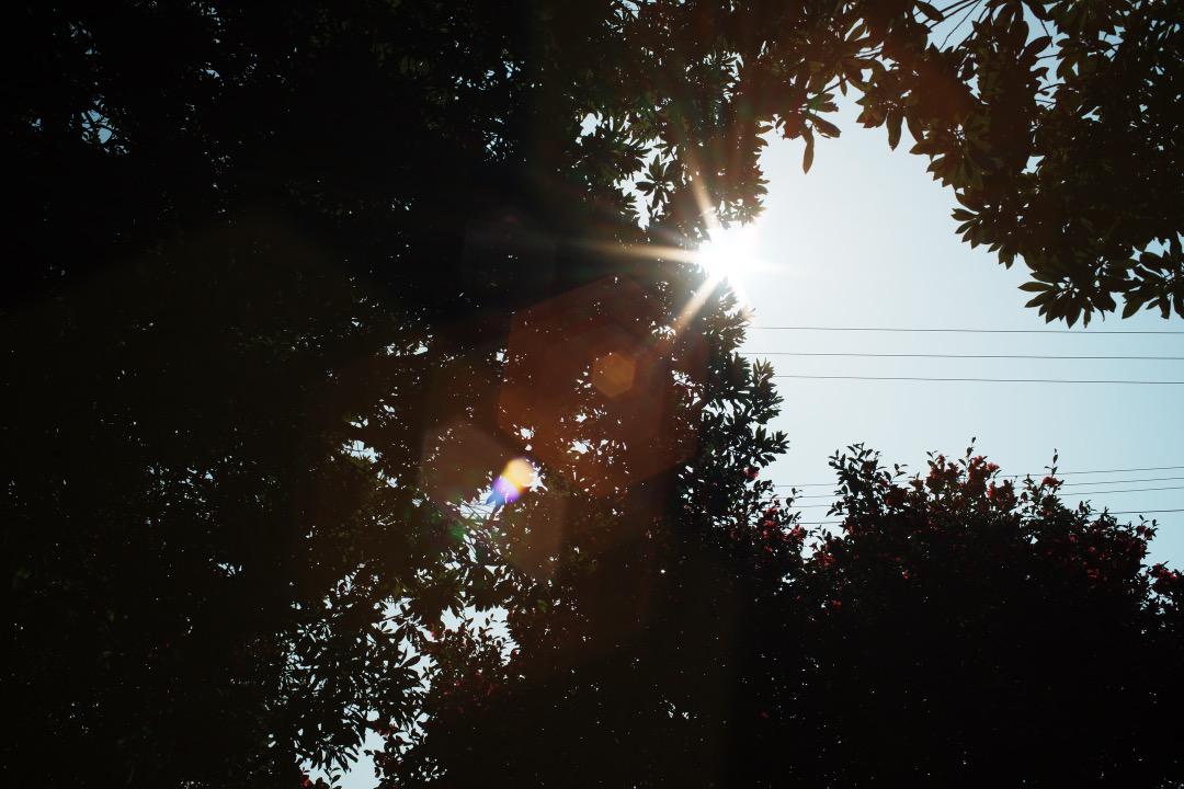 F1.8