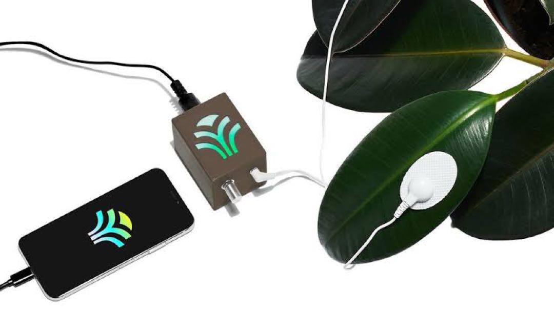 MIDI Sprout 植物の生体信号を音に 432hz