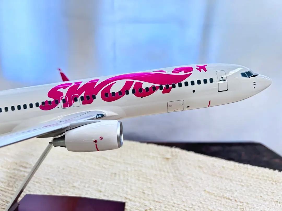 スウープ｜B737-800｜1|100