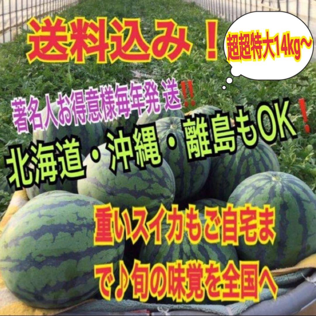 数量限定】入手困難希少サイズ！ 西瓜の匠元祖サプライズBIG