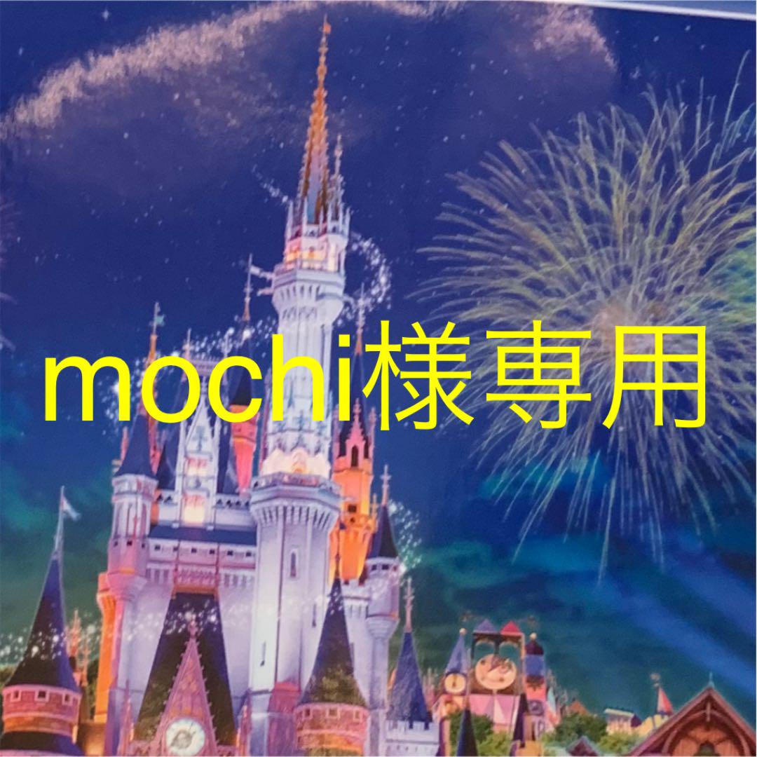 mochi様専用 大特価祭 mochi様専用 アイドル