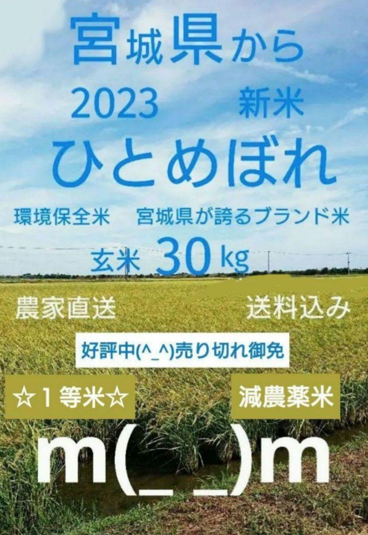 一等米☆桜☆さま定期購入専用～2023新米ひとめぼれ玄米30kg