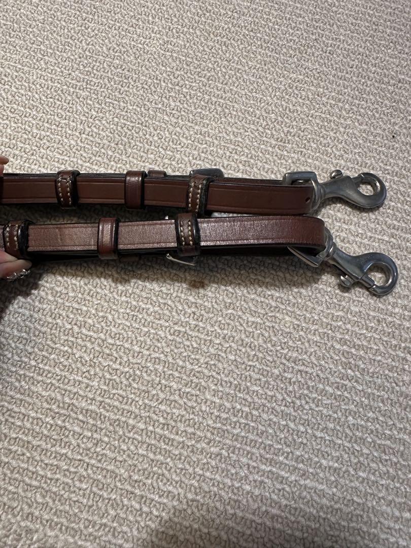 アンタレス　ANTARES 胸がい　むながい