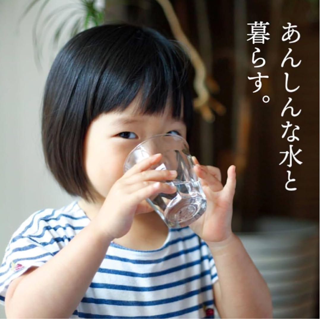 還元水素水生成器用カートリッジ 浄水器カートリッジ TK-HS92C1