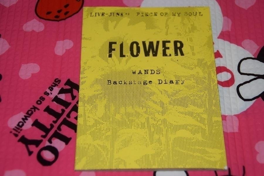 ◎貴重◎WANDS(上杉昇/柴崎浩)◎ミニライブパンフレット◎