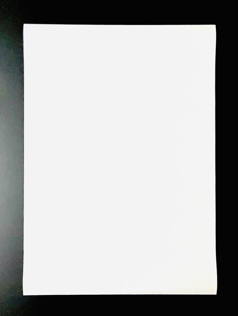 ボクシングポスターB2 ウィルフレド・バスケスvs渡辺雄二 1997年3月30日 ボクシングポスターB2 ウィルフレド・バスケスvs渡辺雄二 1997年3月30日